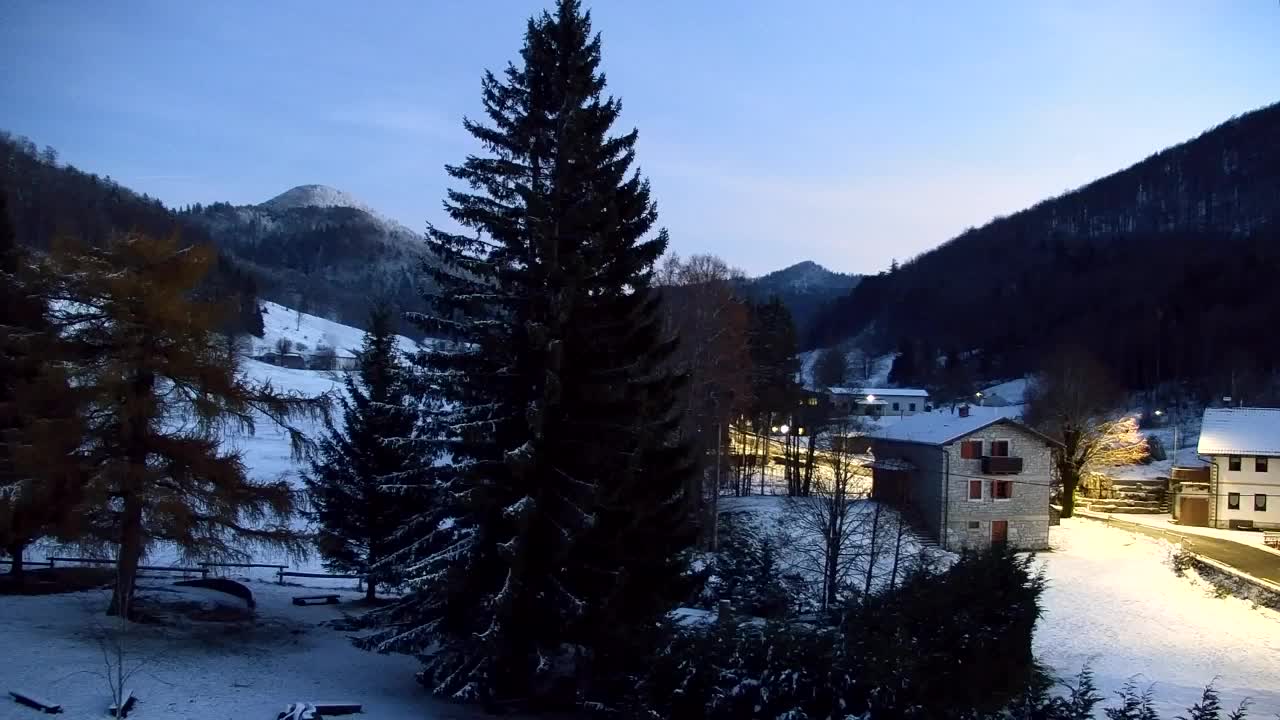 Webcam Loqua / Lokve – La bellezza della selva di Tarnova