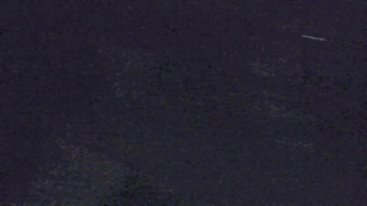 Webcam Lokve – La beauté de la forêt de Trnovo