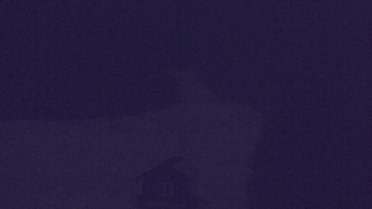 Webcam Lokve – La beauté de la forêt de Trnovo