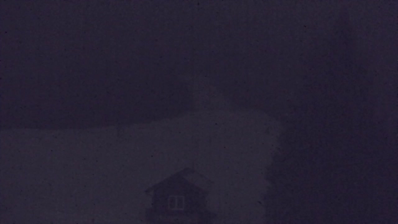 Webcam Loqua / Lokve – La bellezza della selva di Tarnova