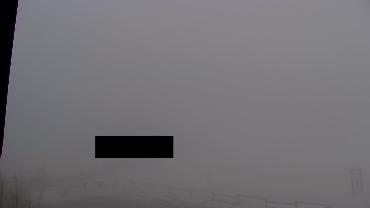 Camera en vivo Lokve – La belleza del bosque de Trnovo