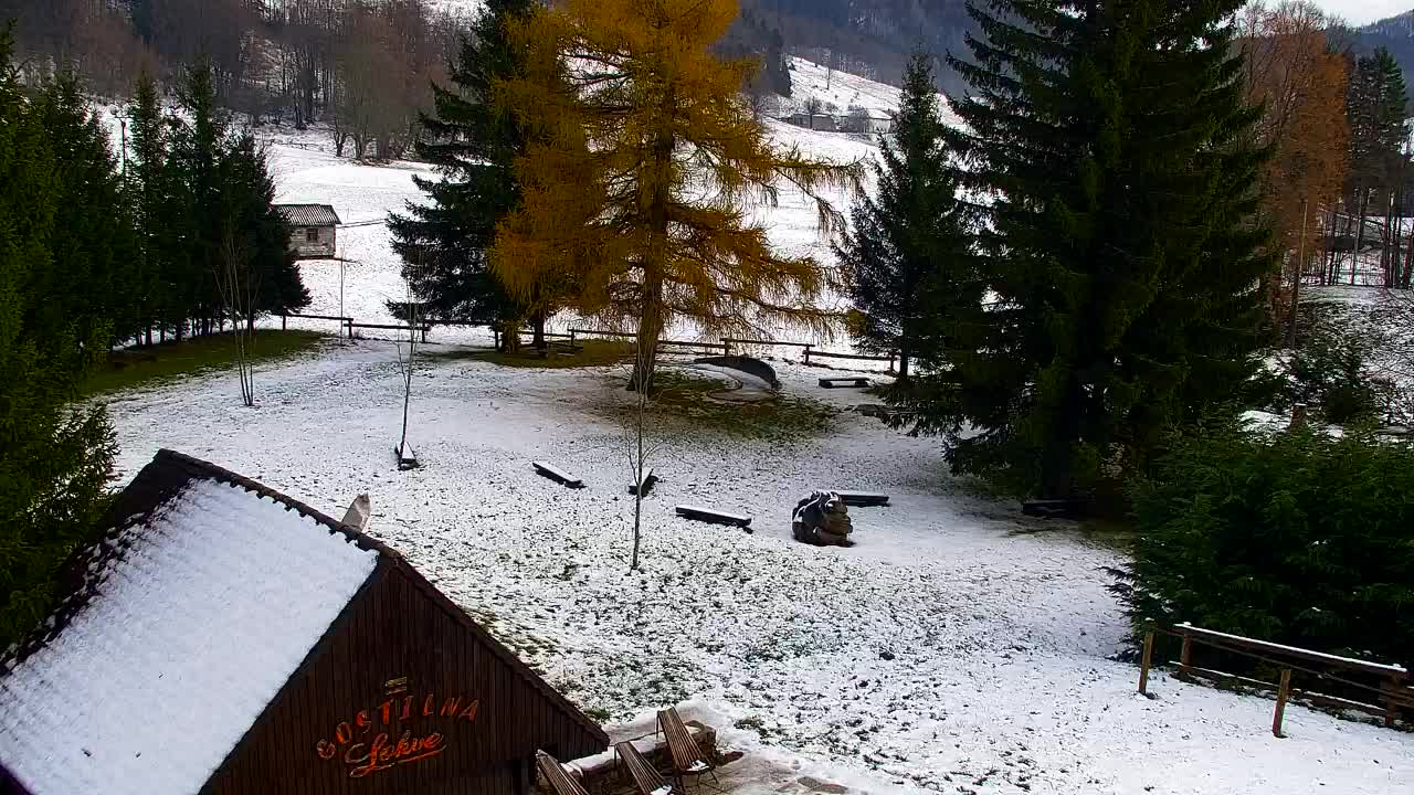 Webcam Lokve – Die Schönheit des Trnovo-Waldes