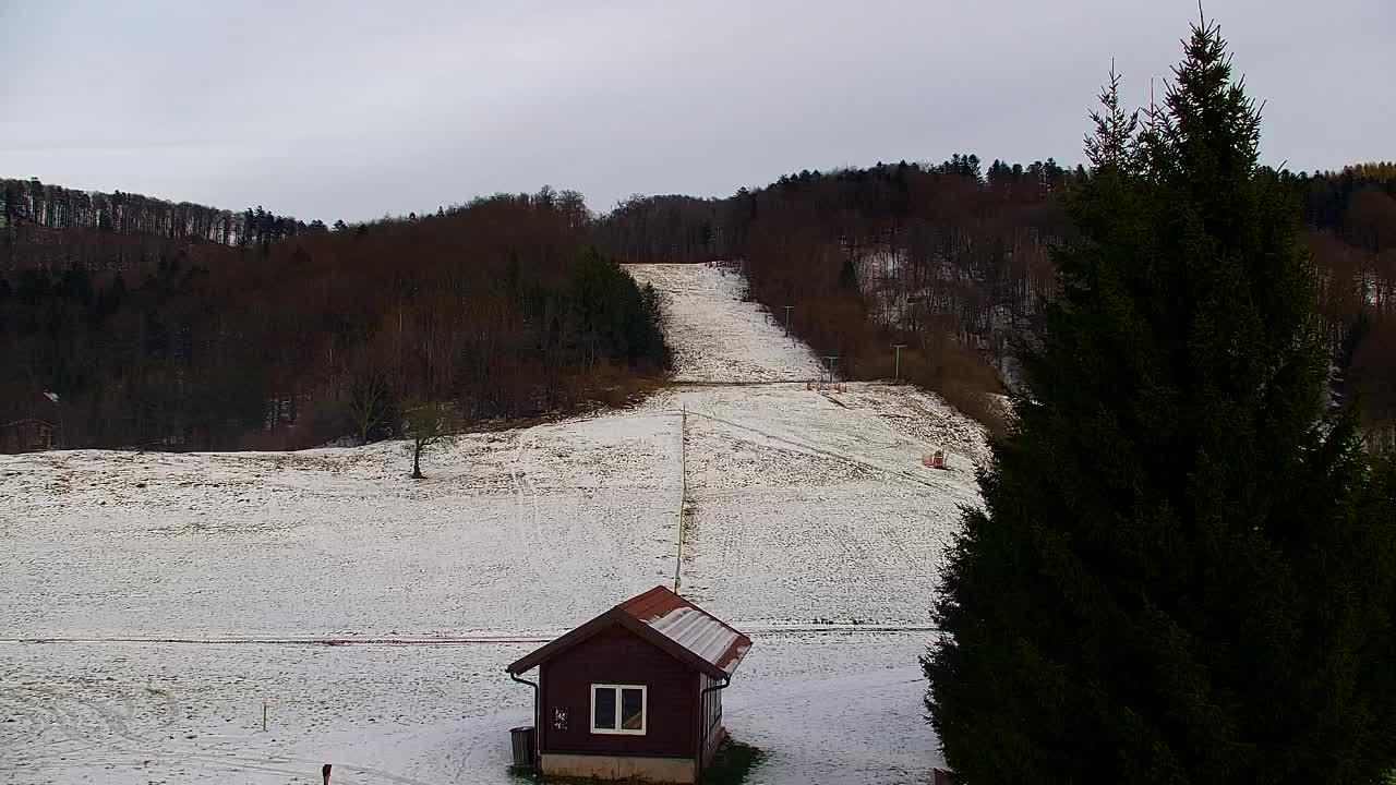 Webcam Lokve – The beauty of the Trnovo forest