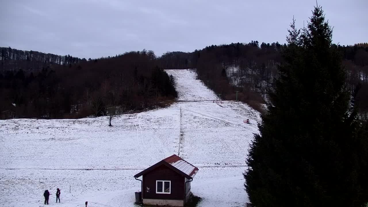 Webcam Lokve – The beauty of the Trnovo forest