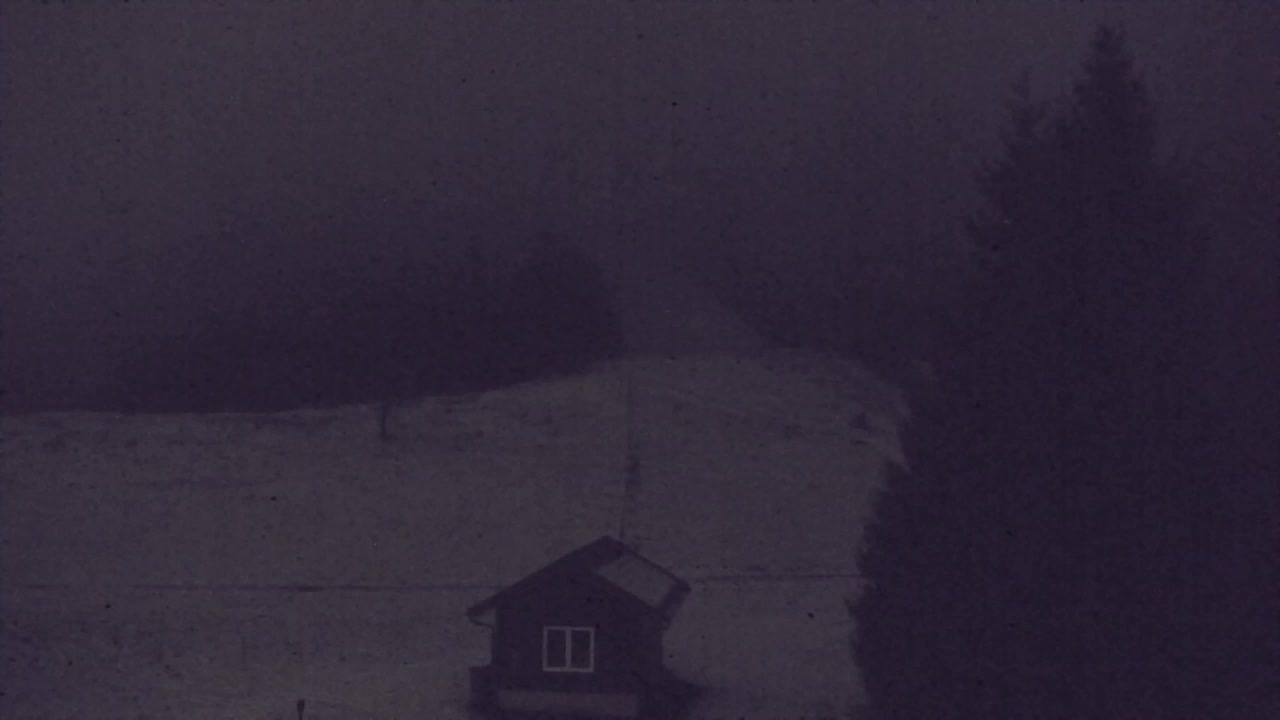 Web kamera Lokve – Ljepota Trnovske šume