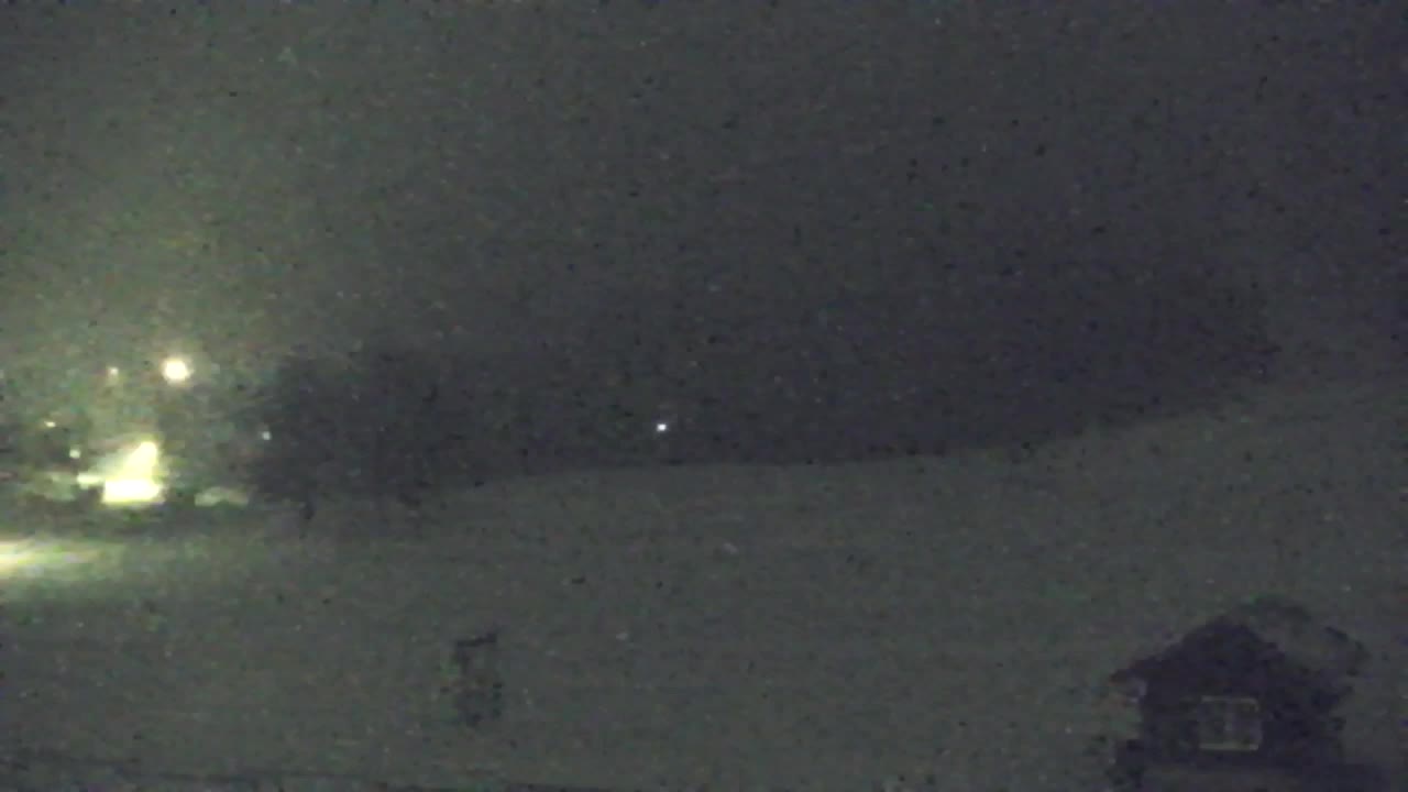 Webcam Lokve – La beauté de la forêt de Trnovo