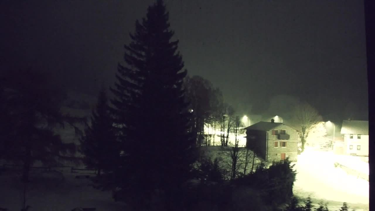 Webcam Loqua / Lokve – La bellezza della selva di Tarnova