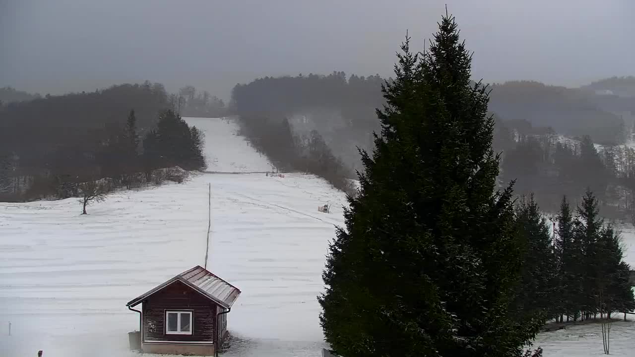 Web kamera Lokve – Ljepota Trnovske šume