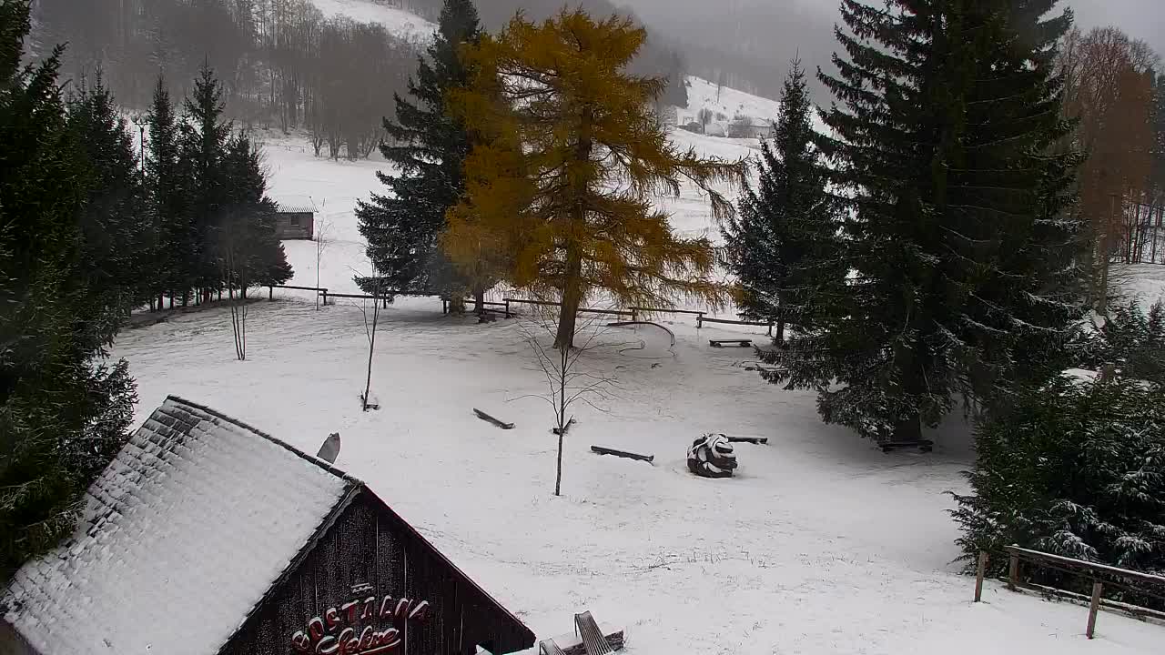 Lokve kamera – Naravne lepote Trnovskega gozda