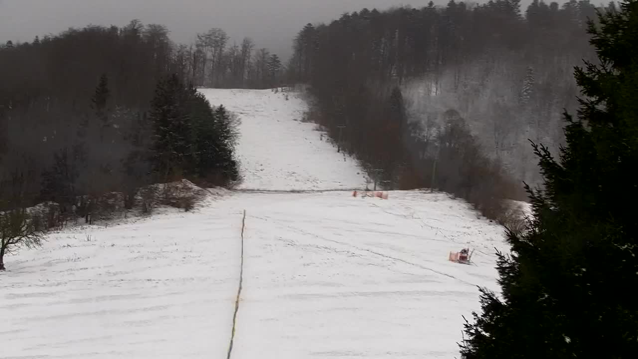Lokve kamera – Naravne lepote Trnovskega gozda
