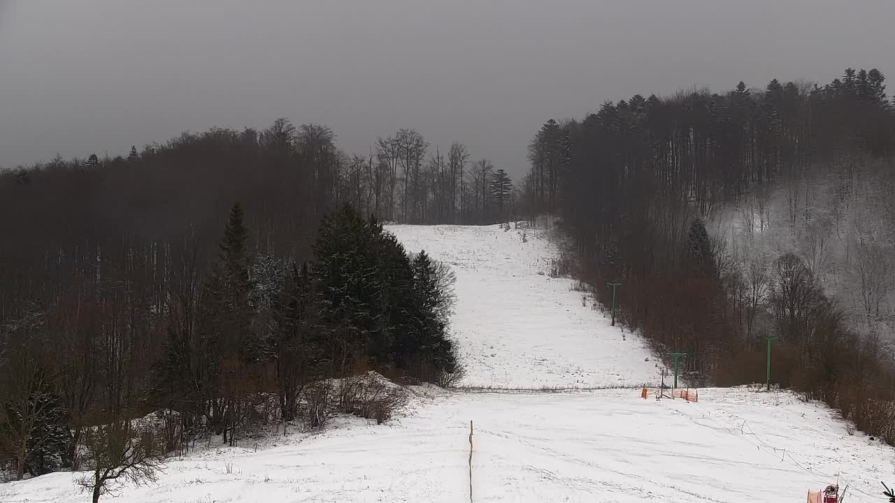 Camera en vivo Lokve – La belleza del bosque de Trnovo