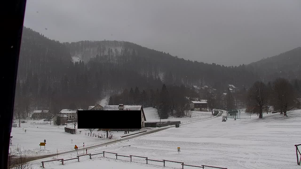 Web kamera Lokve – Ljepota Trnovske šume