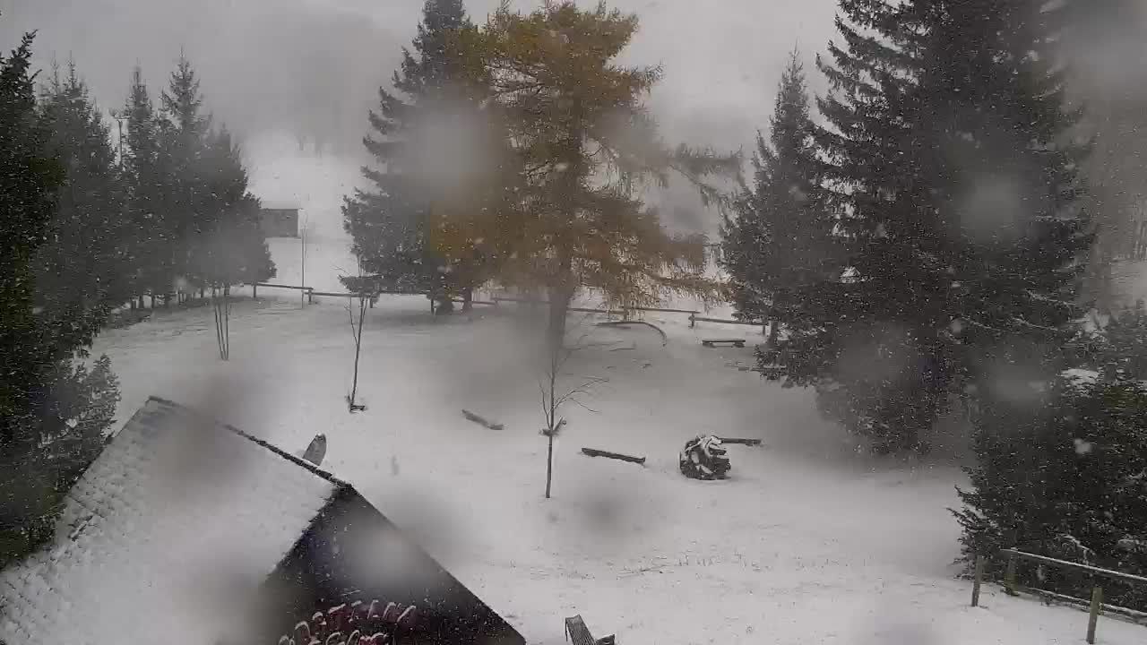 Webcam Lokve – The beauty of the Trnovo forest