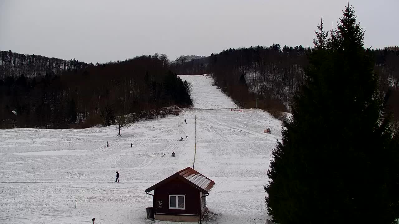 Webcam Lokve – The beauty of the Trnovo forest