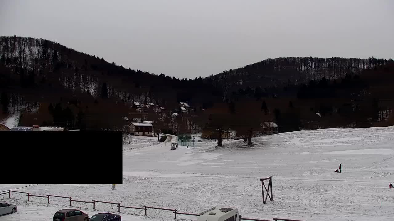 Webcam Loqua / Lokve – La bellezza della selva di Tarnova