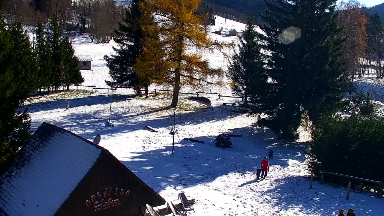 Web kamera Lokve – Ljepota Trnovske šume