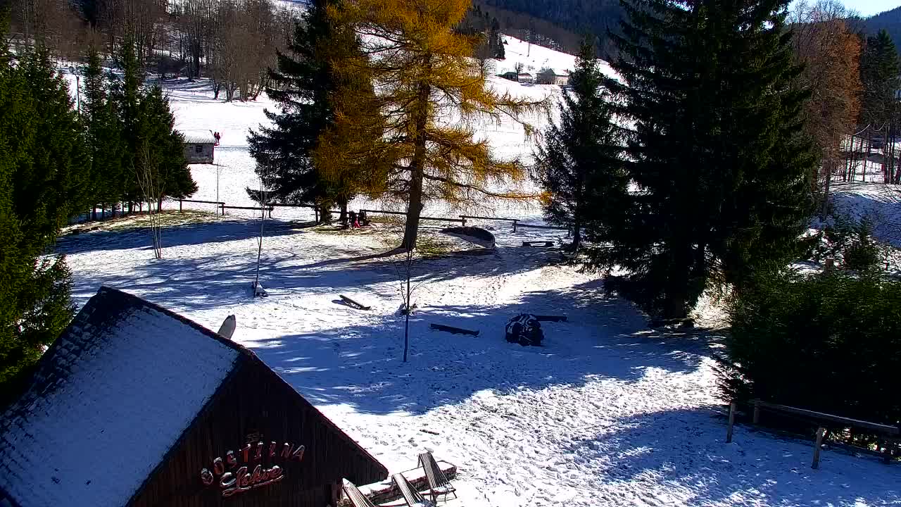 Web kamera Lokve – Ljepota Trnovske šume