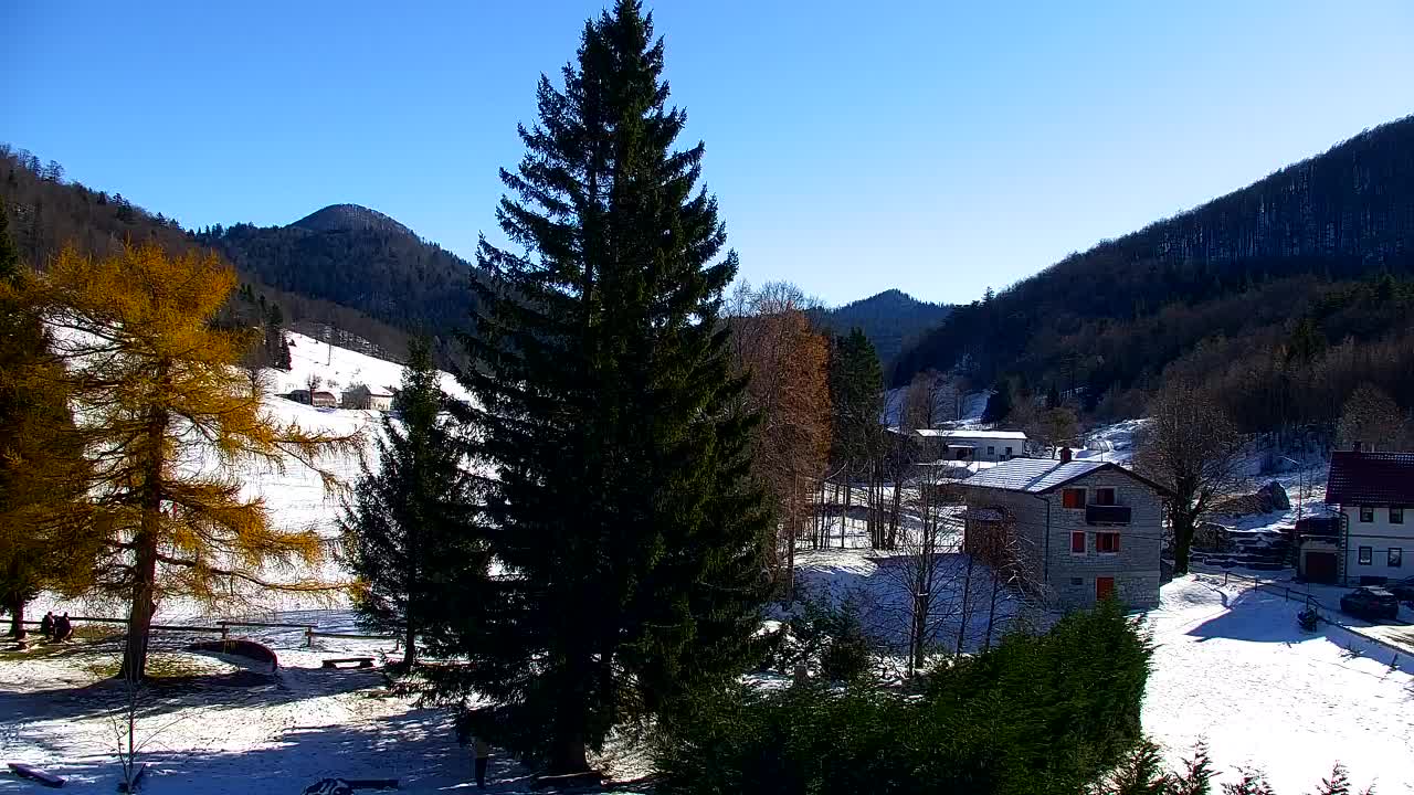 Lokve kamera – Naravne lepote Trnovskega gozda