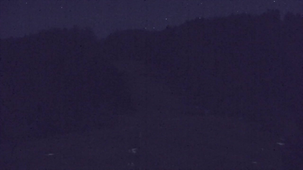 Web kamera Lokve – Ljepota Trnovske šume