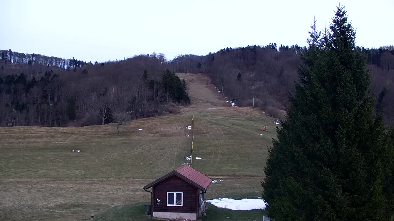 Webcam Lokve – The beauty of the Trnovo forest