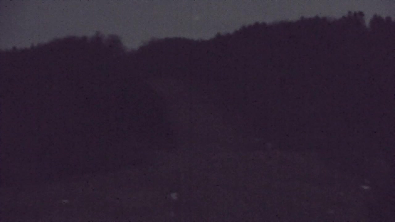 Lokve kamera – Naravne lepote Trnovskega gozda