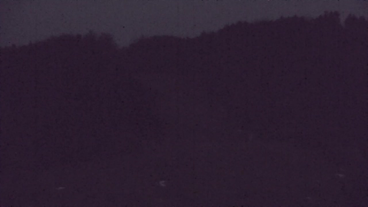 Webcam Lokve – Die Schönheit des Trnovo-Waldes