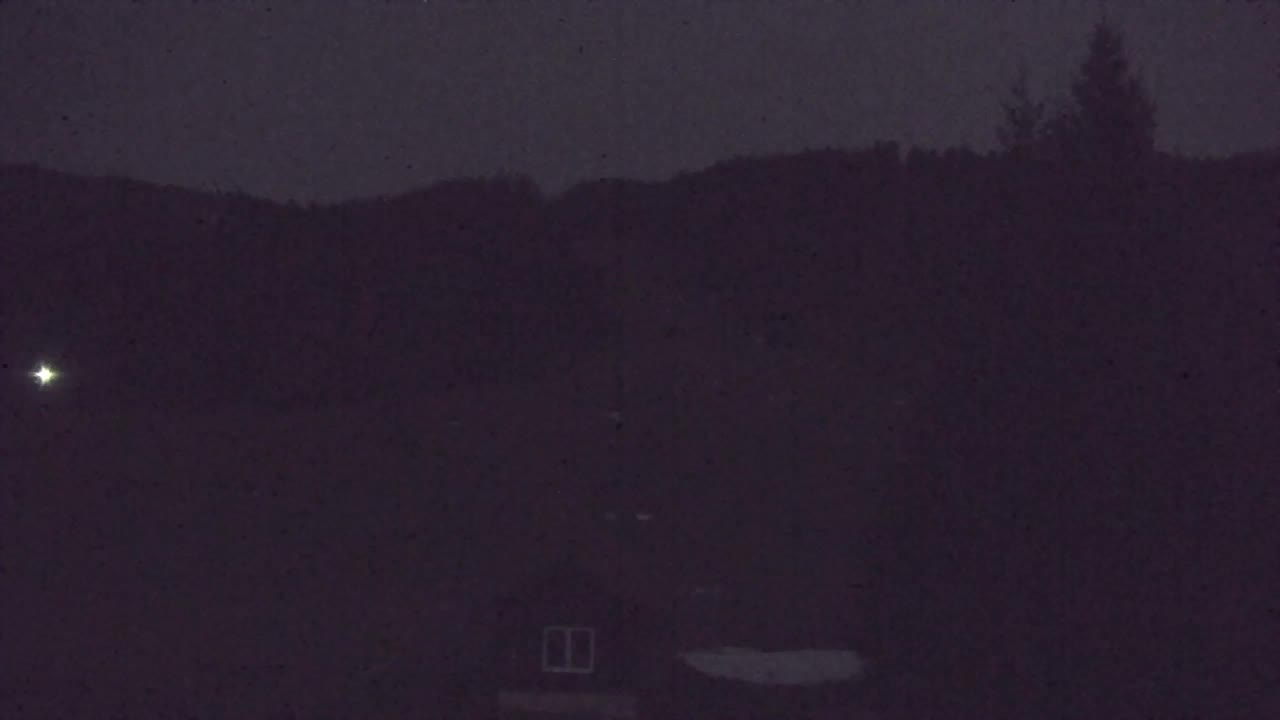 Webcam Lokve – The beauty of the Trnovo forest