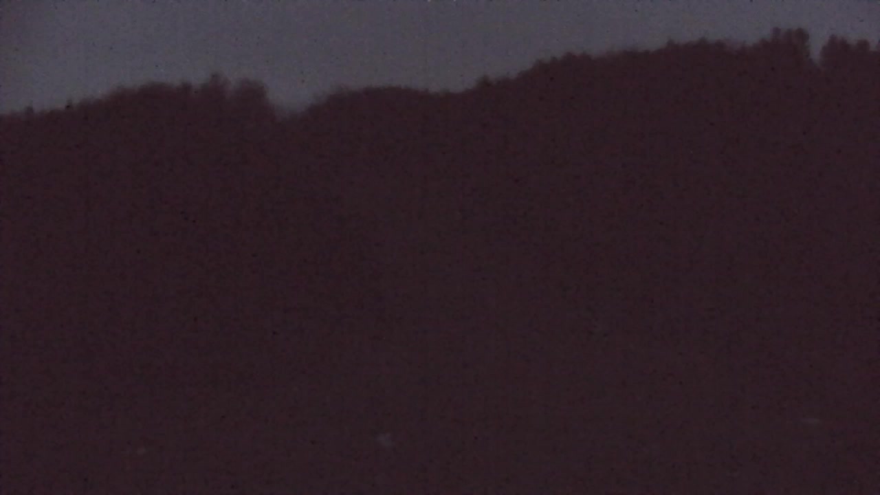 Camera en vivo Lokve – La belleza del bosque de Trnovo