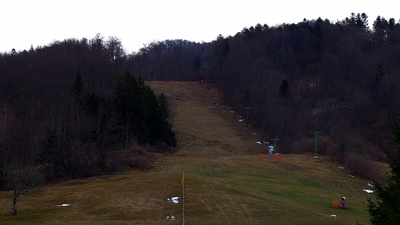 Webcam Lokve – The beauty of the Trnovo forest