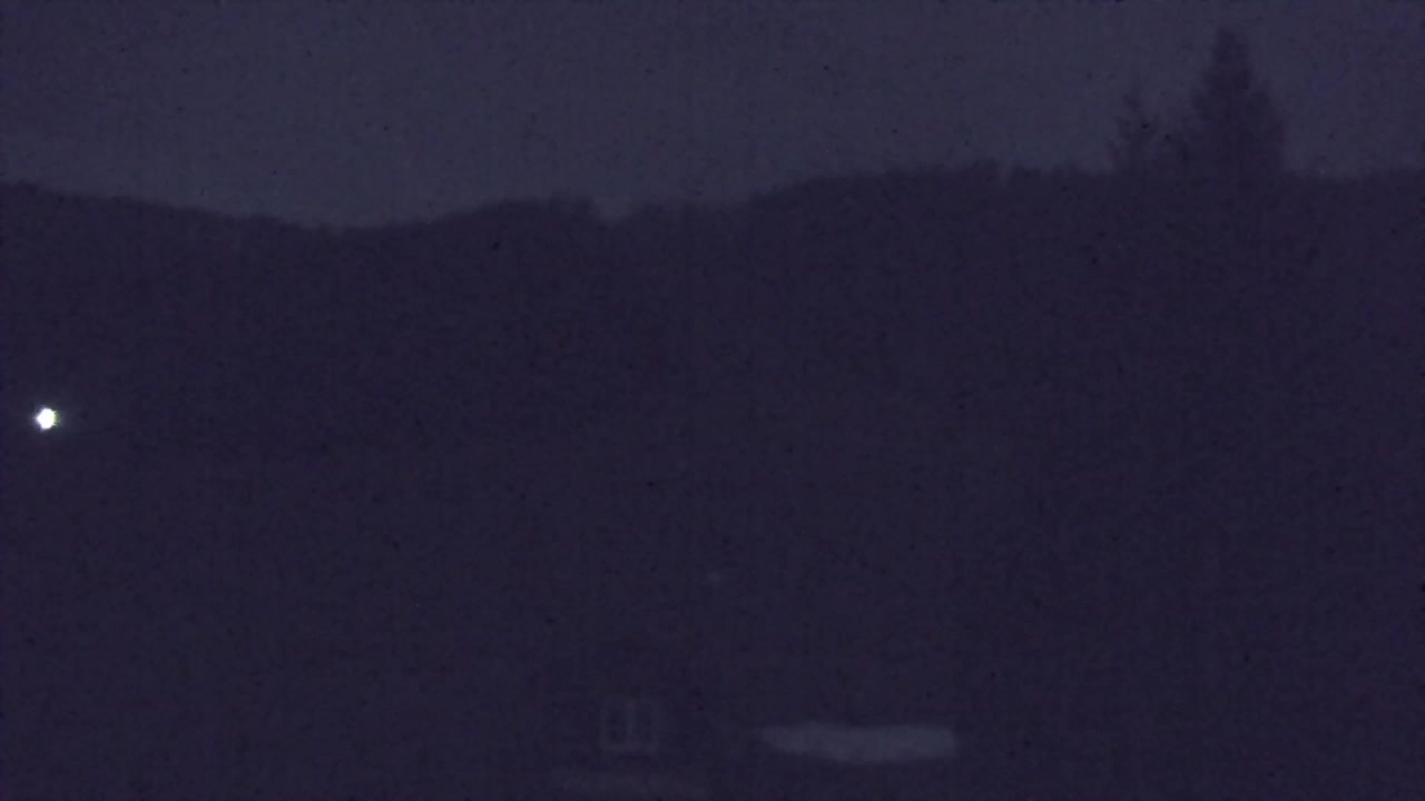 Webcam Loqua / Lokve – La bellezza della selva di Tarnova