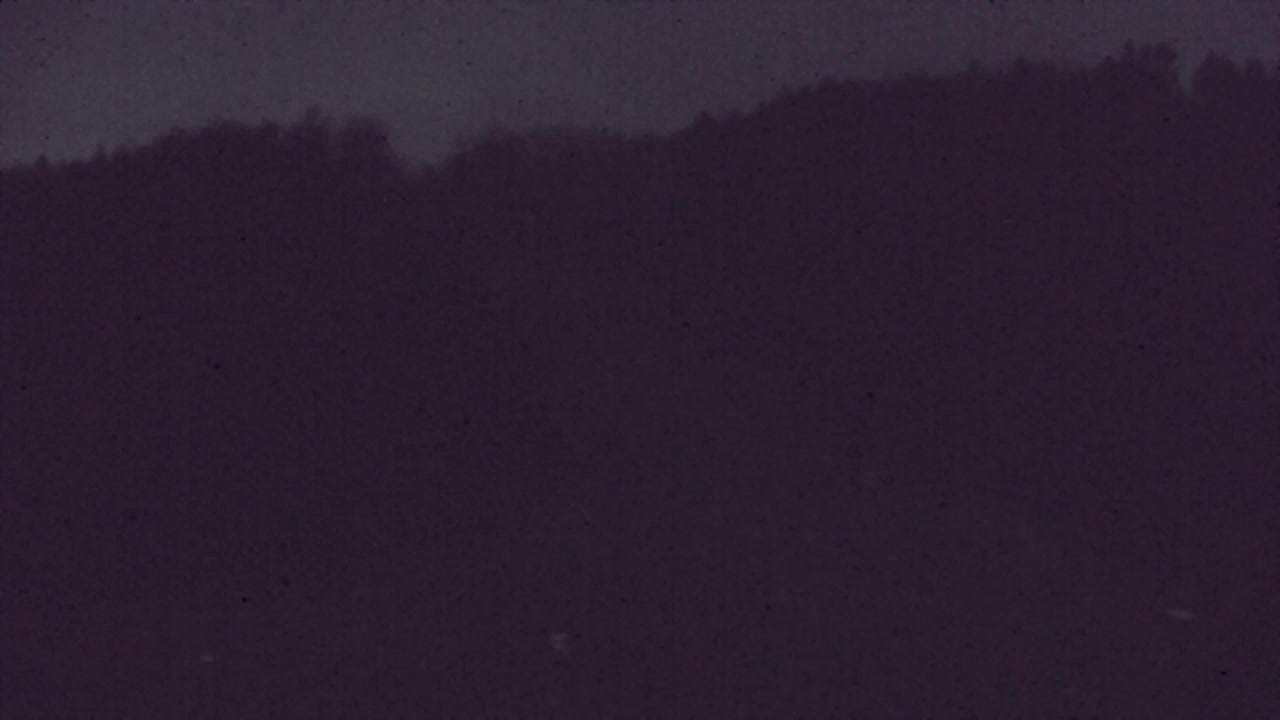 Camera en vivo Lokve – La belleza del bosque de Trnovo