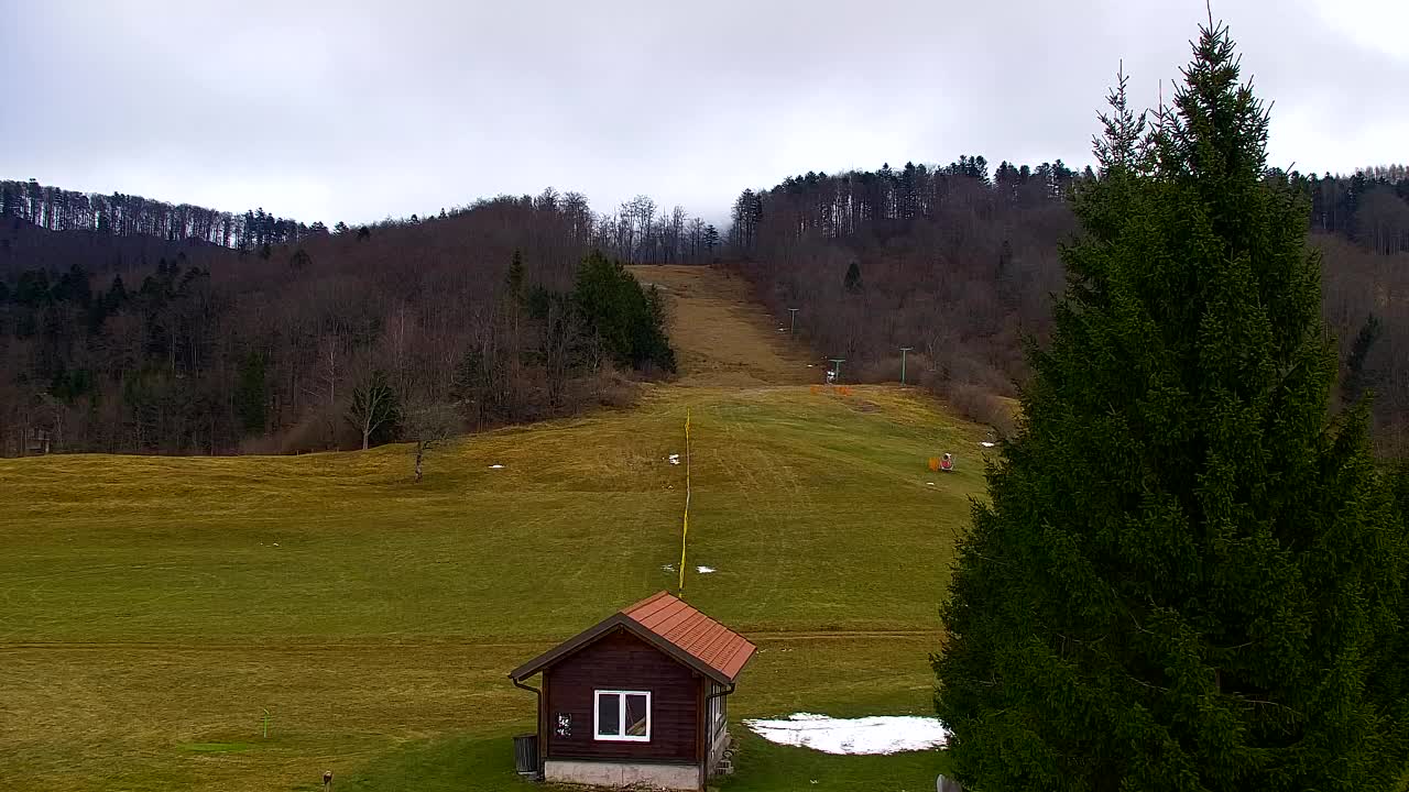 Camera en vivo Lokve – La belleza del bosque de Trnovo