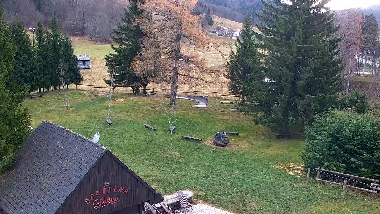 Webcam Loqua / Lokve – La bellezza della selva di Tarnova