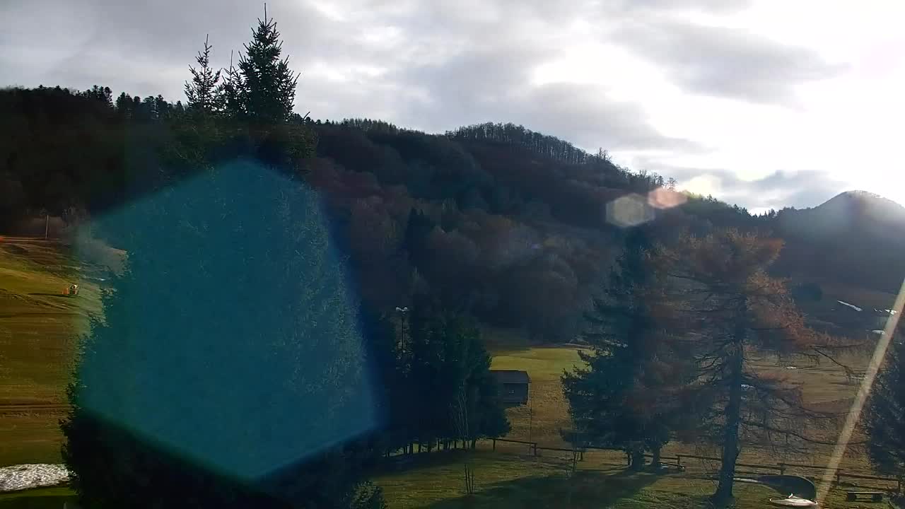 Webcam Loqua / Lokve – La bellezza della selva di Tarnova