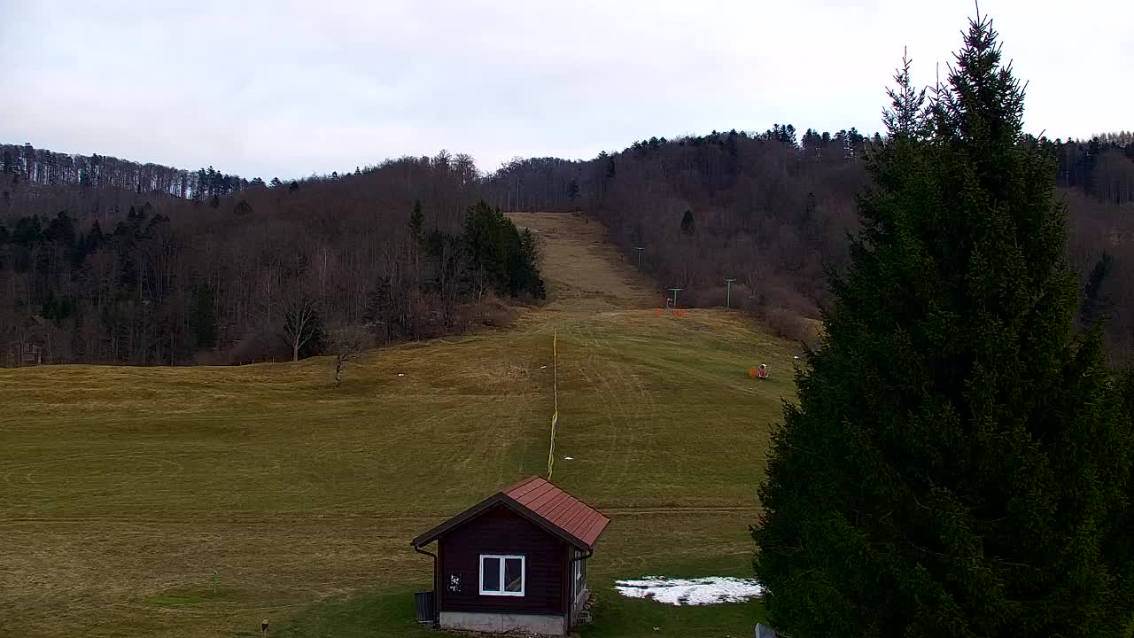 Lokve kamera – Naravne lepote Trnovskega gozda