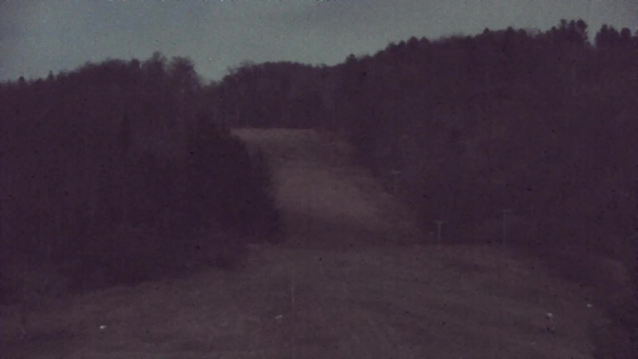 Webcam Loqua / Lokve – La bellezza della selva di Tarnova