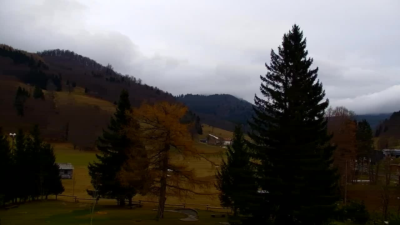 Webcam Lokve – The beauty of the Trnovo forest