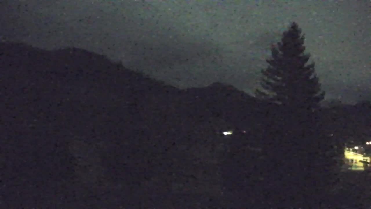 Webcam Loqua / Lokve – La bellezza della selva di Tarnova