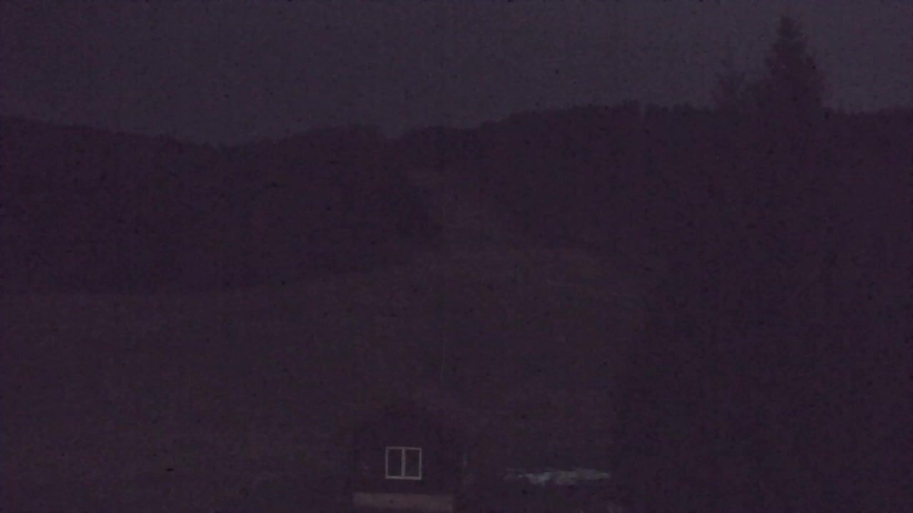 Webcam Loqua / Lokve – La bellezza della selva di Tarnova