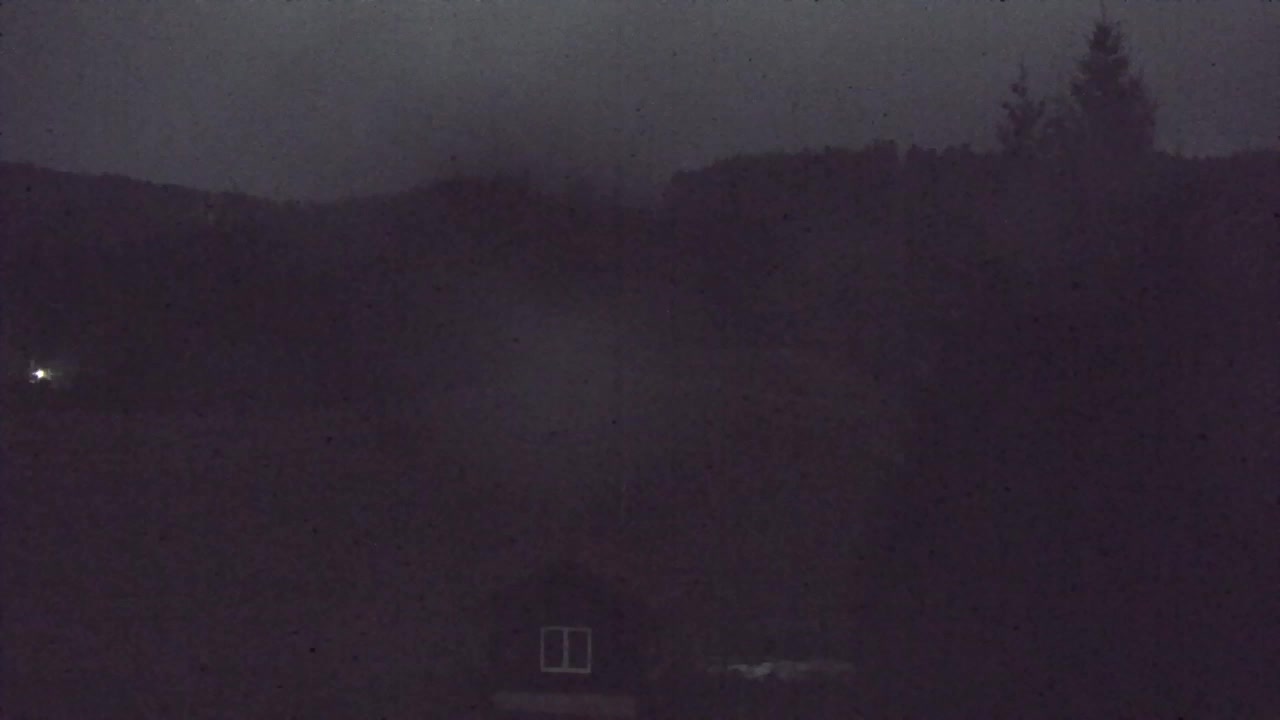 Webcam Lokve – Die Schönheit des Trnovo-Waldes