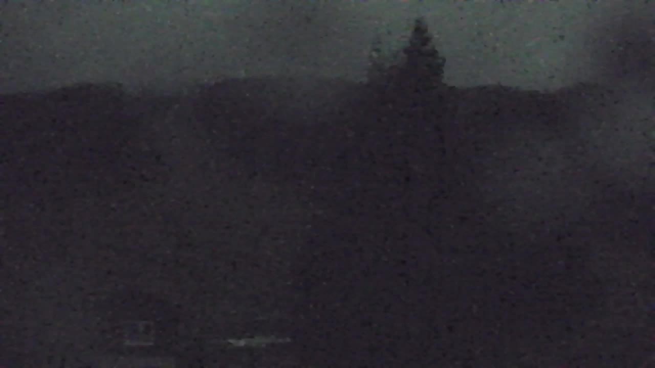 Webcam Lokve – La beauté de la forêt de Trnovo