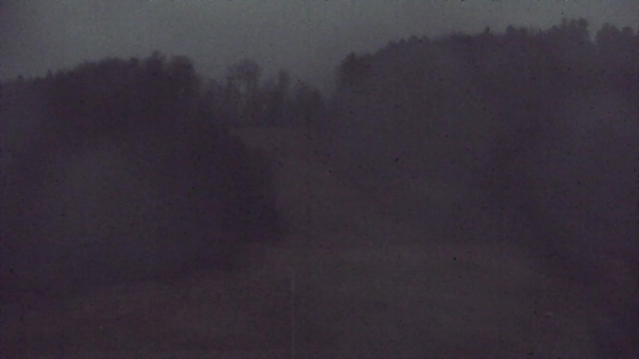 Webcam Lokve – The beauty of the Trnovo forest