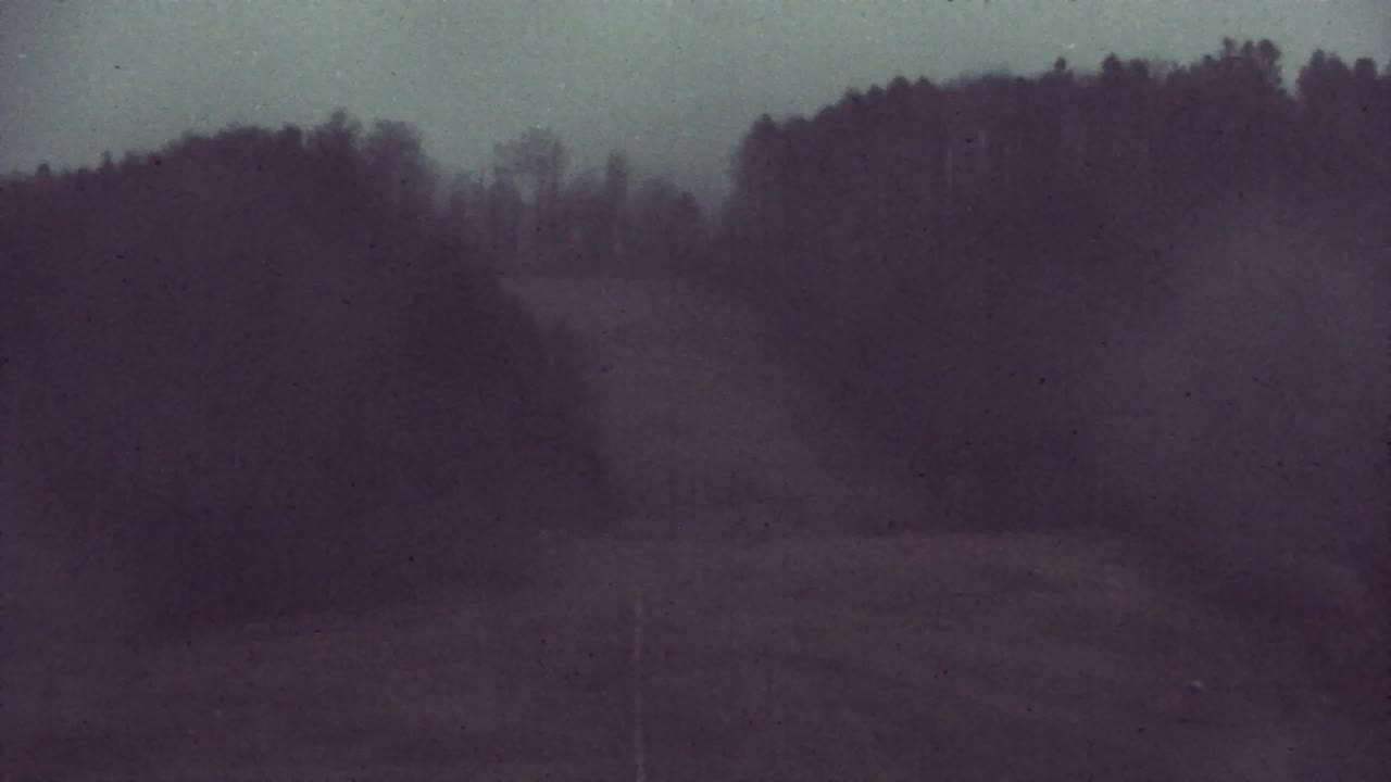 Web kamera Lokve – Ljepota Trnovske šume