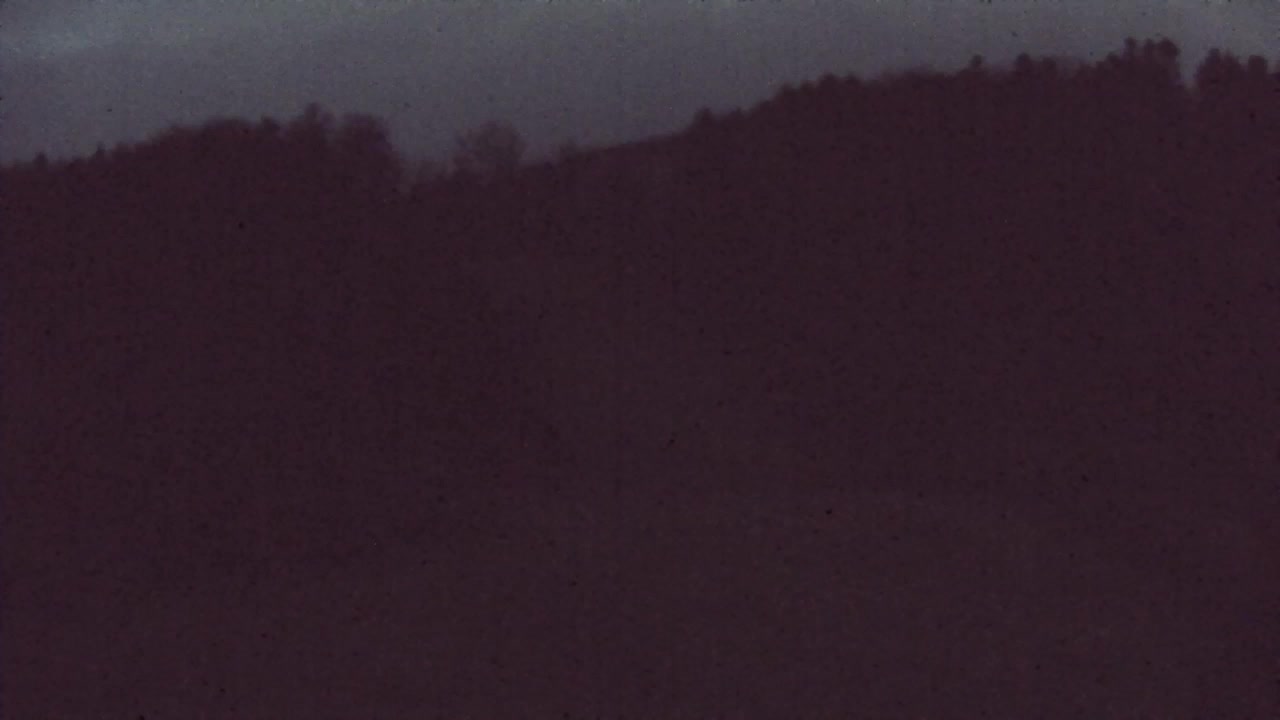 Camera en vivo Lokve – La belleza del bosque de Trnovo