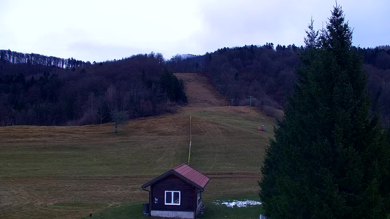 Webcam Loqua / Lokve – La bellezza della selva di Tarnova