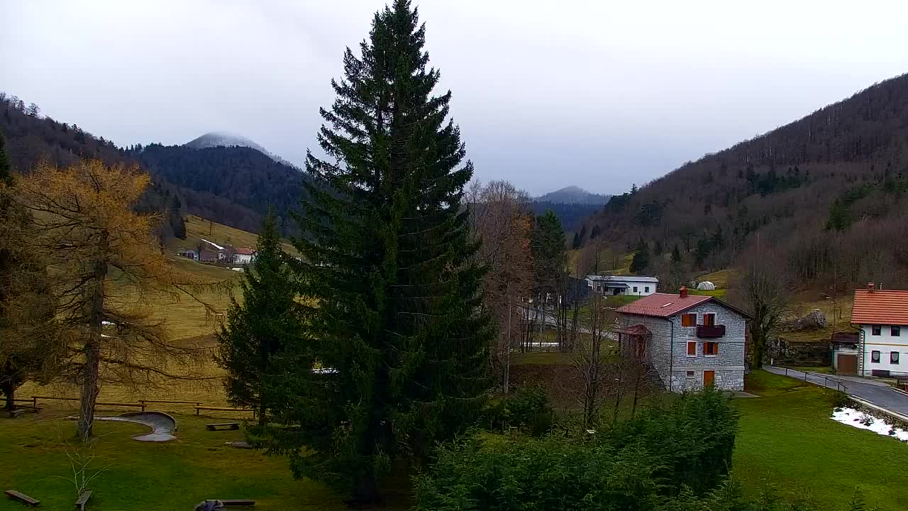 Web kamera Lokve – Ljepota Trnovske šume