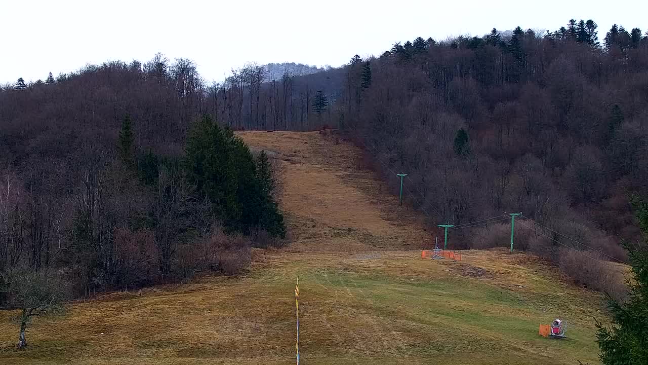 Web kamera Lokve – Ljepota Trnovske šume