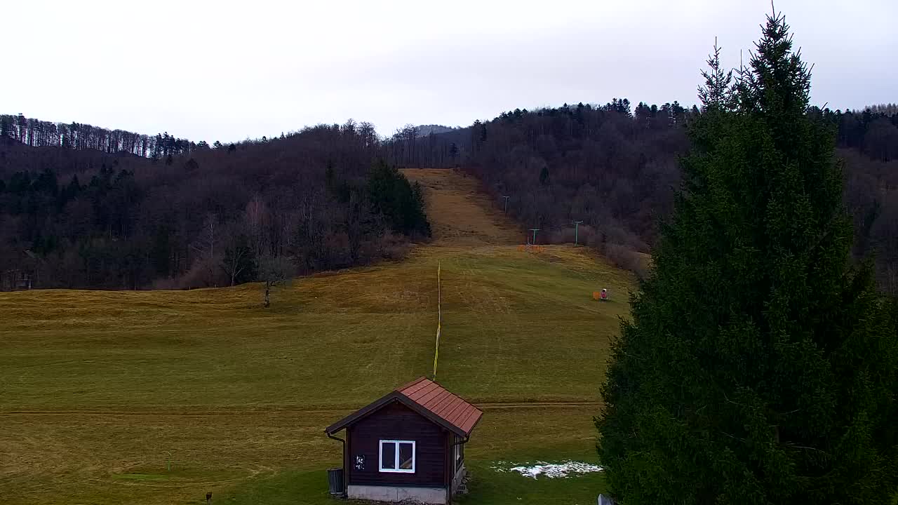 Webcam Loqua / Lokve – La bellezza della selva di Tarnova
