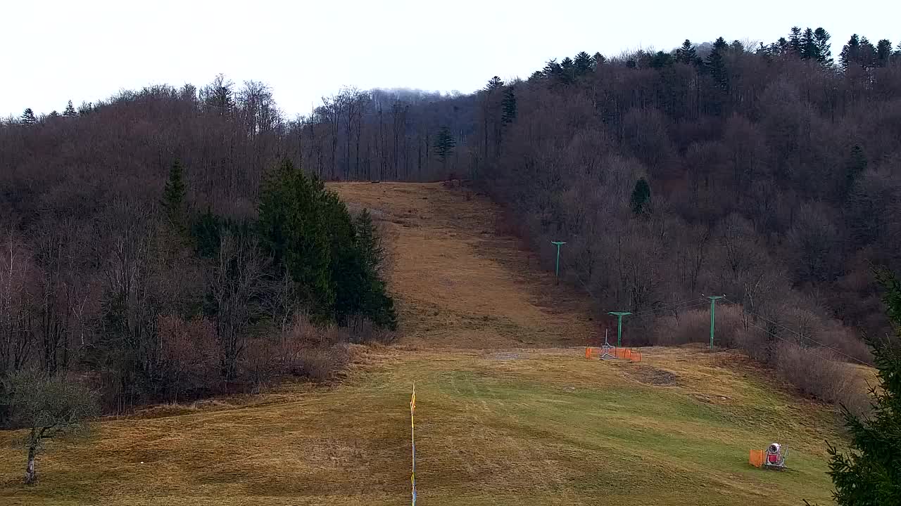 Lokve kamera – Naravne lepote Trnovskega gozda