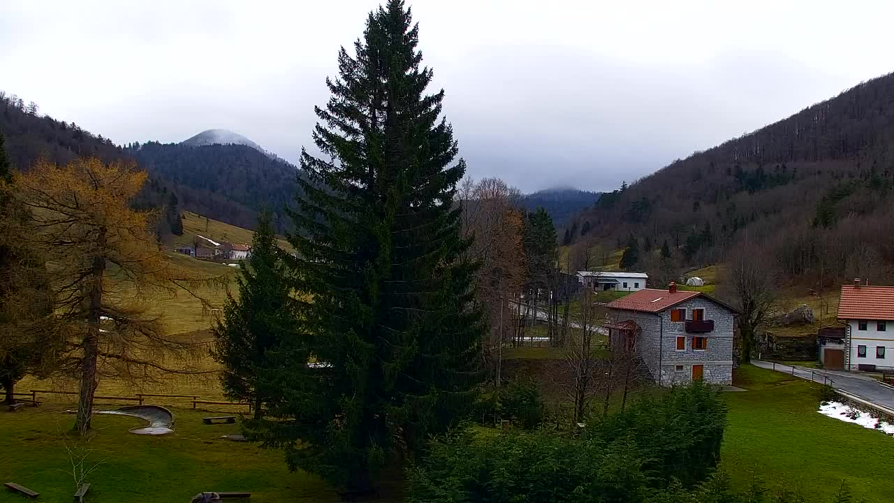 Web kamera Lokve – Ljepota Trnovske šume